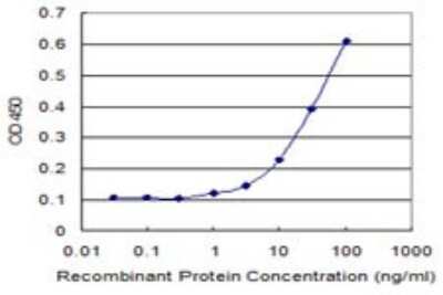Sandwich ELISA: Nectin-2/CD112 Antibody (2A6-2C1) [H00005819-M01] - Detection limit for recombinant GST tagged PVRL2 is 1 ng/ml as a capture antibody.