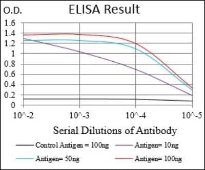 ELISA: Neprilysin/CD10 Antibody (5E9A5) [NBP2-37301] - Red: Control Antigen (100ng); Purple: Antigen (10ng); Green: Antigen (50ng); Blue: Antigen (100ng);