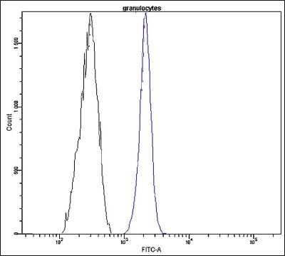 Flow Cytometry: Neprilysin/CD10 Antibody (K16-P) [FITC] [NBP2-21813] - Profile of normal human peripheral blood. Cells were fixed, permeabilized and stained with anti-human CD10 FITC (blue, used 10 ul per test) or with an isotype control (black).