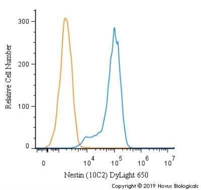 Flow Cytometry: Nestin Antibody (10C2) - Azide and BSA Free [NBP2-80869] - An intracellular stain was performed on SH-SY5Y cells with Nestin [10C2] Antibody NB300-266C (blue) and a matched isotype control (orange). Cells were fixed with 4% PFA and then permeabilized with 0.1% saponin. Cells were incubated in an antibody dilution of 2.5 ug/mL for 30 minutes at room temperature. Both antibodies were directly conjugated to DyLight 650.