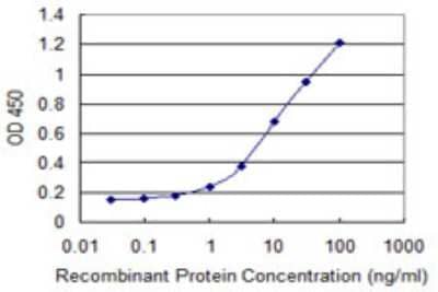 Sandwich ELISA: Neurochondrin Antibody (1C7) [H00023154-M04] - Detection limit for recombinant GST tagged NCDN is 0.1 ng/ml as a capture antibody.
