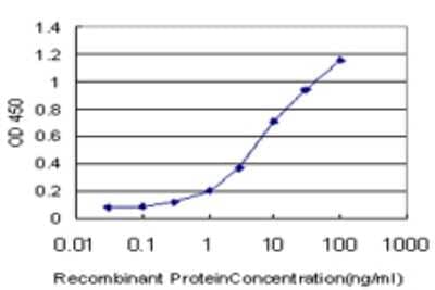 Sandwich ELISA: Neuroglobin Antibody (1A11-A9) [H00058157-M02] - Detection limit for recombinant GST tagged NGB is approximately 0.1ng/ml as a capture antibody.