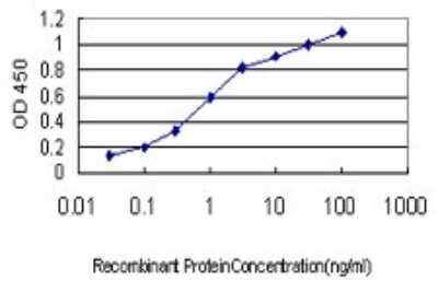 Sandwich ELISA: Neuroglobin Antibody (2B5-A7) [H00058157-M01] - Detection limit for recombinant GST tagged NGB is approximately 0.03ng/ml as a capture antibody.