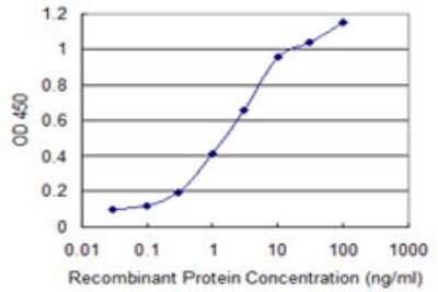 Sandwich ELISA: Neuroglycan C/CSPG5 Antibody (4G6) [H00010675-M02] - Detection limit for recombinant GST tagged CSPG5 is 0.03 ng/ml as a capture antibody.