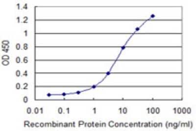 Sandwich ELISA: Neuroligin 1/NLGN1 Antibody (1D6) [H00022871-M03] - Detection limit for recombinant GST tagged NLGN1 is 0.1 ng/ml as a capture antibody.