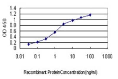 Sandwich ELISA: Neuroligin 1/NLGN1 Antibody (2G7) [H00022871-M01] - Detection limit for recombinant GST tagged NLGN1 is approximately 0.1ng/ml as a capture antibody.