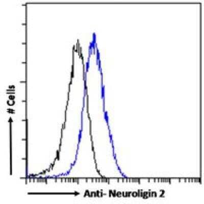 Flow Cytometry: Neuroligin 2/NLGN2 Antibody [NBP1-00220] - Flow cytometric analysis of paraformaldehyde fixed MCF7 cells (blue line), permeabilized with 0.5% Triton. Primary incubation 1hr (10 ug/mL) followed by Alexa Fluor 488 secondary antibody (1 ug/mL). IgG control: Unimmunized goat IgG (black line) followed by Alexa Fluor 488 secondary antibody.