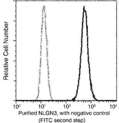 Flow Cytometry: Neuroligin 3/NLGN3 Antibody (242) [NBP2-89824] - Analysis of Human NLGN3 expression on U2OS cells. Cells were stained with purified anti-Human NLGN3, then a FITC-conjugated second step antibody. The fluorescence histograms were derived from gated events with the forward and side light-scatter characteristics of intact cells.