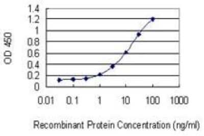 ELISA: Neuronal Pentraxin 1 Antibody (7E6) [H00004884-M06] - Neuronal Pentraxin 1 Antibody (7E6) [H00004884-M06] - Detection limit for recombinant GST tagged NPTX1 is 0.1 ng/ml as a capture antibody.