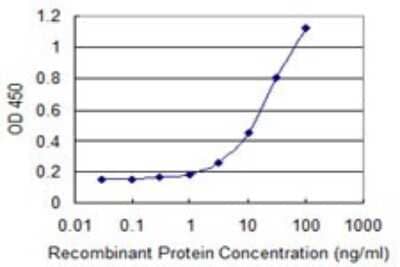 Sandwich ELISA: Neuronatin Antibody (1B9) [H00004826-M01] - Detection limit for recombinant GST tagged NNAT is 0.3 ng/ml as a capture antibody.