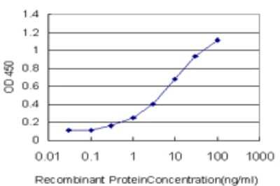 Sandwich ELISA: Neuropilin-2 Antibody (3B8) [H00008828-M01] - Detection limit for recombinant GST tagged NRP2 is approximately 0.3ng/ml as a capture antibody.