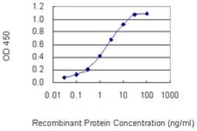 Sandwich ELISA Neurotrypsin Antibody (1C3)