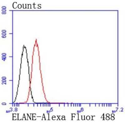 Flow Cytometry: Neutrophil Elastase/ELA2 Antibody (JF098-6) [NBP2-66972] - Analysis of HepG2 cells with Neutrophil Elastase antibody at 1/50 dilution (red) compared with an unlabelled control (cells without incubation with primary antibody; black). Alexa Fluor 488-conjugated goat anti rabbit IgG was used as the secondary antibod