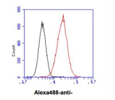 Flow Cytometry: Nicotinamide N-Methyltransferase/NNMT Antibody (AT11G11) [NBP2-50581] - Flow cytometry analysis of NNMT in HeLa cell line, staining at 2-5ug for 1x106cells (red line). The secondary antibody used goat anti-mouse IgG Alexa fluor 488 conjugate. Isotype control antibody was mouse IgG (black line).