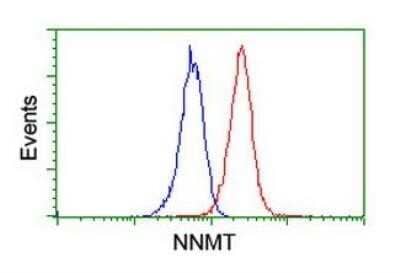 Flow Cytometry: Nicotinamide N-Methyltransferase/NNMT Antibody (OTI3D8) - Azide and BSA Free [NBP2-72984] - Analysis of Jurkat cells, using anti-NNMT antibody (Red), compared to a nonspecific negative control antibody (Blue).