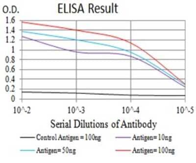 ELISA: Nicotinic Acetylcholine R alpha 10/CHRNA10 Antibody (4E2D1) [NBP2-61666] - Black line: Control Antigen (100 ng);Purple line: Antigen (10ng); Blue line: Antigen (50 ng); Red line:Antigen (100 ng)