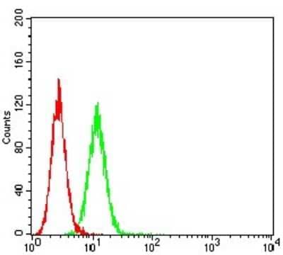 Flow Cytometry: Nicotinic Acetylcholine R alpha 10/CHRNA10 Antibody (4E2D1) [NBP2-61666] - Analysis of Hela cells using CHRNA10 mouse mAb (green) and negative control (red).