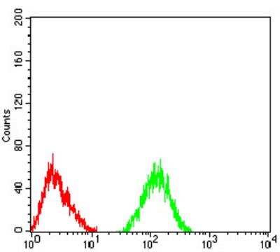 Flow Cytometry: Nicotinic Acetylcholine R alpha 6/CHRNA6 Antibody (5B6G8) [NBP2-61679] - Analysis of SK-N-SH cells using CHRNA6 mouse mAb (green) and negative control (red).