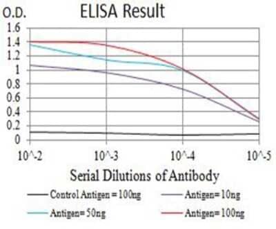 ELISA: Nicotinic Acetylcholine R alpha 7/CHRNA7 Antibody (7F10F1) [NBP2-61738] - Black line: Control Antigen (100 ng);Purple line: Antigen (10ng); Blue line: Antigen (50 ng); Red line:Antigen (100 ng)