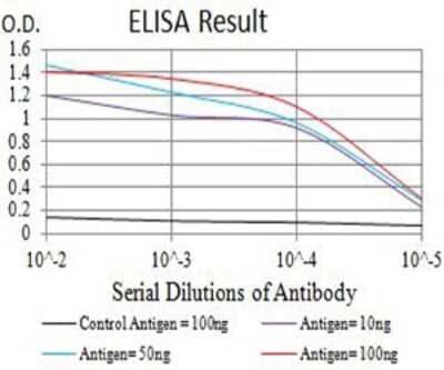 ELISA Nicotinic Acetylcholine R alpha 7/CHRNA7 Antibody (7F10G1) - BSA Free