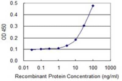 Sandwich ELISA: Nidogen-1/Entactin Antibody (1G3) [H00004811-M01] - Detection limit for recombinant GST tagged NID1 is 1 ng/ml as a capture antibody.