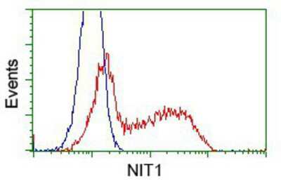 Flow Cytometry: Nitrilase 1 Antibody (3A11) [NBP2-02462] - HEK293T cells transfected with either pCMV6-ENTRY Nitrilase 1.(Red) or empty vector control plasmid (Blue) were immunostained with anti-Nitrilase 1 mouse monoclonal, and then analyzed by flow cytometry.