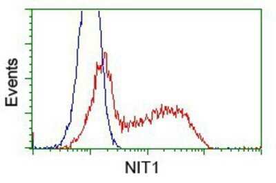 Flow Cytometry: Nitrilase 1 Antibody (OTI3A11) - Azide and BSA Free [NBP2-72999] - HEK293T cells transfected with either pCMV6-ENTRY Nitrilase 1.(Red) or empty vector control plasmid (Blue) were immunostaining with anti-Nitrilase 1 mouse monoclonal, and then analyzed by flow cytometry.