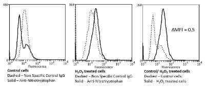 Flow Cytometry: Nitrotryptophan Antibody (2D12) [NBP2-59354] - Flow Cytometry analysis using Mouse Anti-Nitrotryptophan Monoclonal Antibody, Clone 2D12 (NBP2-59354). Tissue: Neuroblastoma cells (SH-SY5Y). Species: Human. Fixation: 90% Methanol. Primary Antibody: Mouse Anti-Nitrotryptophan Monoclonal Antibody (NBP2-59354) at 1:50 for 30 min on ice. Secondary Antibody: Goat Anti-Mouse: PE at 1:100 for 20 min at RT. Isotype Control: Non Specific IgG. Cells were subject to oxidative stress by treating with 250 M H2O2 for 24 hours.