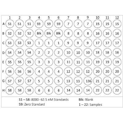 ELISA: Nitrotyrosine ELISA Kit (Colorimetric) [NBP2-59717] - Diagram of the Triplicate Sample Plate Format