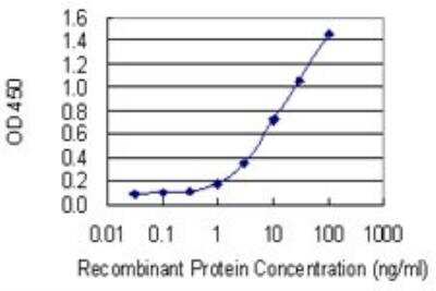 ELISA: Nocturnin Antibody (3E8) [H00025819-M01] - Detection limit for recombinant GST tagged CCRN4L is 0.1 ng/ml as a capture antibody.