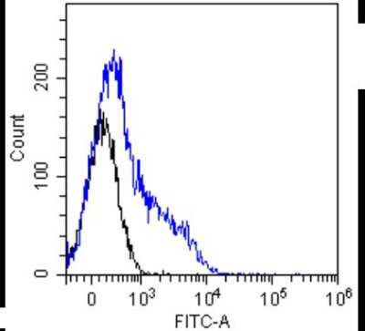 Flow Cytometry: Notch-1 Antibody (E6) - Chimeric [NBP2-62557] - Flow-cytometry using the anti-Notch 1 antibody E6. Mouse thymocytes were stained with unimmunized rabbit IgG antibody (black line) or the rabbit-chimeric version of E6 (NBP2-62557, blue line) at a concentration of 10 ug/ml for 30 mins at RT. After washing, bound antibody was detected using anti-rabbit IgG JK (FITC-conjugate) antibody at 2 ug/ml and cells analyzed on a FACSCanto flow-cytometer.