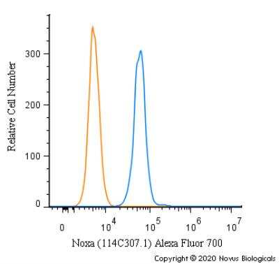 Flow Cytometry: Noxa Antibody (114C307.1) [Alexa Fluor® 700] [NB600-1159AF700] - An intracellular stain was performed on MCF7 cells with Noxa [114C307.1] Antibody NB600-1159AF700 (blue) and a matched isotype control (orange). Cells were fixed with 4% PFA and then permeabilized with 0.1% saponin. Cells were incubated in an antibody dilution of 5 ug/mL for 30 minutes at room temperature. Both antibodies were conjugated to Alexa Fluor 700.