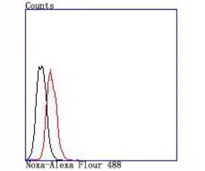 Flow Cytometry: Noxa Antibody (JA30-03) [NBP2-66989] - Flow cytometry analysis of Jurkat cells with Noxa antibody at 1:100 dilution (red) compared with an unlabelled control (cells without primary antibody incubation; black).