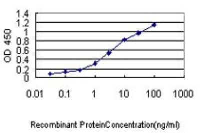 Sandwich ELISA: Nucleobindin 1 Antibody (1H8-2C11) [H00004924-M01] - Detection limit for recombinant GST tagged NUCB1 is approximately 0.1ng/ml as a capture antibody.