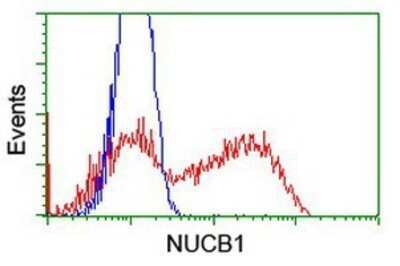 Flow Cytometry: Nucleobindin 1 Antibody (OTI1A5) - Azide and BSA Free [NBP2-73086] - HEK293T cells transfected with either overexpression plasmid (Red) or empty vector control plasmid (Blue) were immunostaining by anti-Nucleobindin 1 antibody, and then analyzed by flow cytometry.