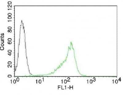 Flow Cytometry: Nucleoli Marker Antibody (NM95) - Azide and BSA Free [NBP2-34695] - Flow Cytometry of human nucleolar Ag on 293T cells Black: cells alone: Grey: isotype control: Green: AF488-labeled human Nucleolar Monoclonal antibody (NM95)
