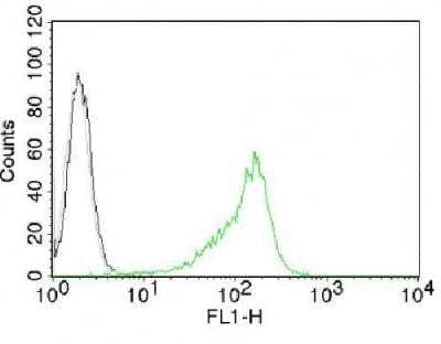 Flow Cytometry: Nucleoli Marker Antibody (NM95) [NBP2-32886] - Flow Cytometry of human nucleolar Ag on 293T cells Black: cells alone: Grey: isotype control: Green: AF488-labeled human Nucleolar Monoclonal antibody (NM95)