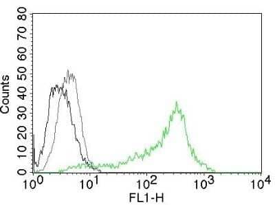 Flow Cytometry: Nucleolin Antibody (364-5) - Azide and BSA Free [NBP2-47861] - Flow Cytometry of Human Nucleolin Ag on 293T cells. Black: cells alone; Grey: Isotype Control; Green: AF488-labeled Nucleolin Antibody (364-5).