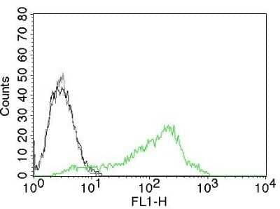 Flow Cytometry: Nucleolin Antibody (NCL/902) - Azide and BSA Free [NBP2-47860] - Flow Cytometry of Human Nucleolin Ag on 293T cells. Black: cells alone; Grey: Isotype Control; Green: AF488-labeled Nucleolin Antibody (NCL/902).