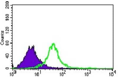 Flow Cytometry: Nucleostemin Antibody (2C8D5) [NBP2-37410] - Flow cytometric analysis of Jurkat cells using GNL3 mouse mAb (green) and negative control (purple).