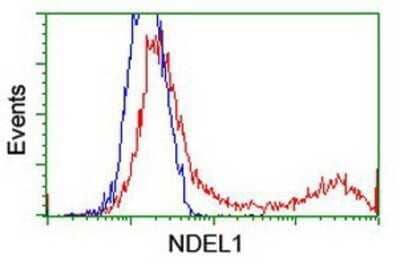 Flow Cytometry: Nudel Antibody (OTI5E11) - Azide and BSA Free [NBP2-73104] - HEK293T cells transfected with either overexpression plasmid (Red) or empty vector control plasmid (Blue) were immunostaining by anti-Nudel antibody, and then analyzed by flow cytometry.