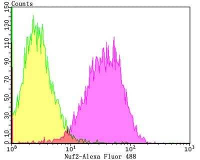 Flow Cytometry: Nuf2 Antibody (JG34-64) [NBP2-76855] - Flow cytometric analysis of A431 cells with Nuf2 antibody at 1/50 dilution (purple) compared with an unlabelled control (cells without incubation with primary antibody; yellow). Alexa Fluor 488-conjugated goat anti-rabbit IgG was used as the secondary antibody.