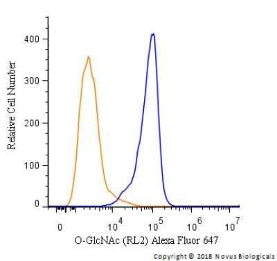 Flow Cytometry: O-GlcNAc Antibody (RL2) [Alexa Fluor® 647] [NB300-524AF647] - An intracellular stain was performed on HeLa cells with O-GlcNAc Antibody [RL2] Antibody NB300-524AF647 (blue) and a matched isotype control (orange). Cells were fixed with 4% PFA and then permeabilized with 0.1% saponin. Cells were incubated in an antibody dilution of 2.5 ug/mL for 30 minutes at room temperature. Both antibodies were conjugated to Alexa Fluor 647.