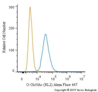 Flow Cytometry: O-GlcNAc Antibody (RL2) [Alexa Fluor® 647] [NB300-524AF647] - An intracellular stain was performed on Neuro2a cells with O-GlcNAc Antibody [RL2] NB300-524AF647 (blue) and a matched isotype control (orange). Cells were fixed with 4% PFA and then permeabilized with 0.1% saponin. Cells were incubated in an antibody dilution of 2.5 ug/mL for 30 minutes at room temperature. Both antibodies were conjugated to Alexa Fluor 647.