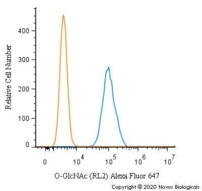 Flow Cytometry: O-GlcNAc Antibody (RL2) [Alexa Fluor® 647] [NB300-524AF647] - An intracellular stain was performed on RH30 cells with O-GlcNAc [RL2] Antibody NB300-524AF647 (blue) and a matched isotype control (orange). Cells were fixed with 4% PFA and then permeabilized with 0.1% saponin. Cells were incubated in an antibody dilution of 2.5 ug/mL for 30 minutes at room temperature. Both antibodies were conjugated to Alexa Fluor 647.