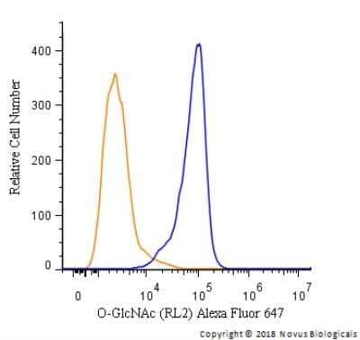 Flow Cytometry: O-GlcNAc Antibody (RL2) - Azide and BSA Free [NBP2-80892] - An intracellular stain was performed on HeLa cells with O-GlcNAc Antibody [RL2] Antibody NB300-524AF647 (blue) and a matched isotype control (orange). Cells were fixed with 4% PFA and then permeabilized with 0.1% saponin. Cells were incubated in an antibody dilution of 2.5 ug/mL for 30 minutes at room temperature. Both antibodies were directly conjugated to Alexa Fluor 647.