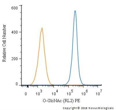 Flow Cytometry: O-GlcNAc Antibody (RL2) - Azide and BSA Free [NBP2-80892] - An intracellular stain was performed on Jurkat cells with O-GlcNAc antibody (RL2) NB300-524PE (blue) and a matched isotype control. Cells were fixed with 4% PFA and then permeablized with 0.1% saponin. Cells were incubated in an antibody dilution of 2.5 ug/mL for 30 minutes at room temperature . Both antibodies were directly conjugated to phycoerythrin.