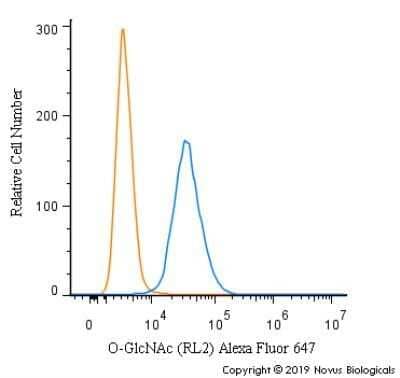 Flow Cytometry: O-GlcNAc Antibody (RL2) - Azide and BSA Free [NBP2-80892] - An intracellular stain was performed on Neuro2a cells with O-GlcNAc Antibody [RL2] NB300-524AF647 (blue) and a matched isotype control (orange). Cells were fixed with 4% PFA and then permeabilized with 0.1% saponin. Cells were incubated in an antibody dilution of 2.5 ug/mL for 30 minutes at room temperature. Both antibodies were directly conjugated to Alexa Fluor 647.