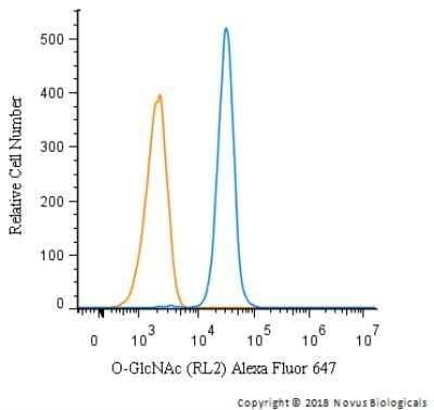 Flow Cytometry: O-GlcNAc Antibody (RL2) - Azide and BSA Free [NBP2-80892] - An intracellular stain was performed on SK-MEL-28 cells with O-GlcNAc antibody (RL2) NB300-524AF647 (blue) and a matched isotype control. Cells were fixed with 4% PFA and then permeablized with 0.1% saponin. Cells were incubated in an antibody dilution of 2.5 ug/mL for 30 minutes at room temperature . Both antibodies were directly conjugated to Alexa Fluor 647.