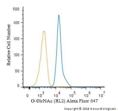 Flow Cytometry: O-GlcNAc Antibody (RL2) - Azide and BSA Free [NBP2-80892] - An intracellular stain was performed on U-937 cells with O-GlcNAc antibody (RL2) NB300-524AF647 (blue) and a matched isotype control. Cells were fixed with 4% PFA and then permeablized with 0.1% saponin. Cells were incubated in an antibody dilution of 2.5 ug/mL for 30 minutes at room temperature . Both antibodies were directly conjugated to Alexa Fluor 647.